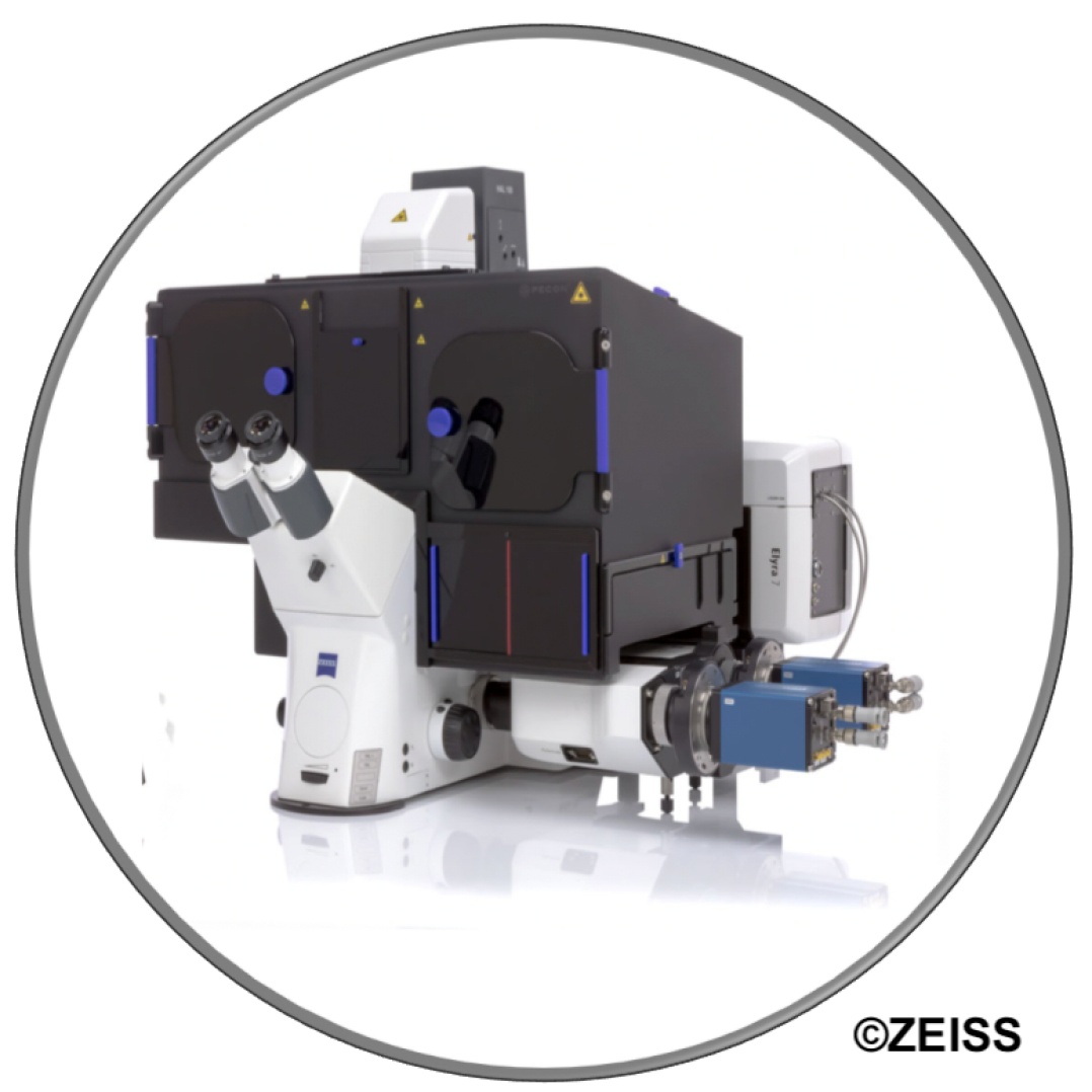 Zeiss Elyra 7