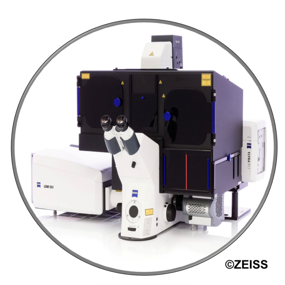 Zeiss Elyra PS.1 + LSM880