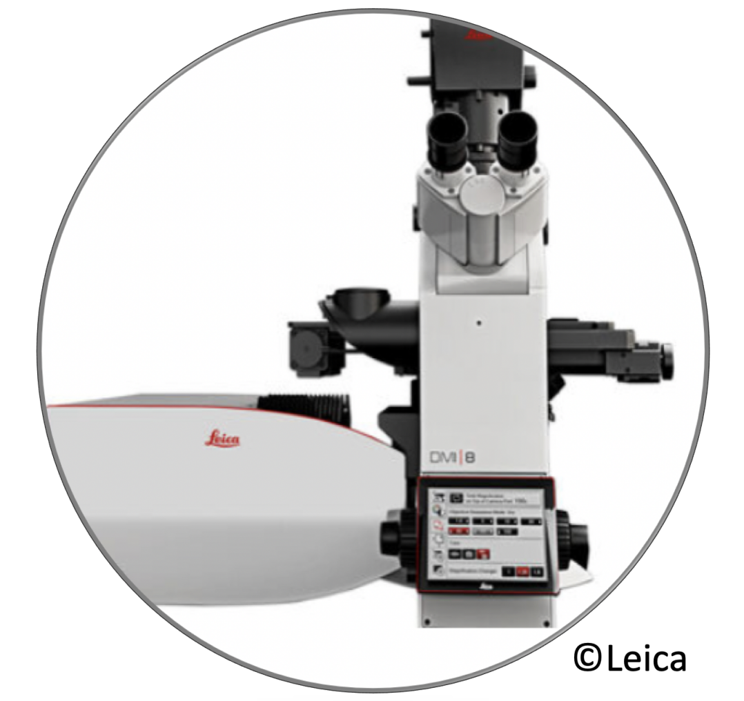 Leica Stellaris 8 FALCON